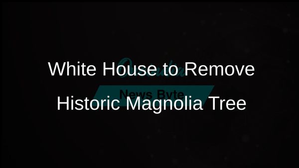 Historic Southern Magnolia Tree to Be Removed from the White House Grounds Over Safety Concerns