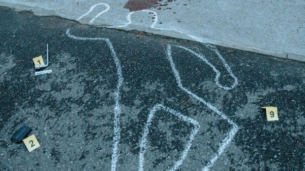 Delhi: IFS Officer Jumps to Death in Chanakyapuri