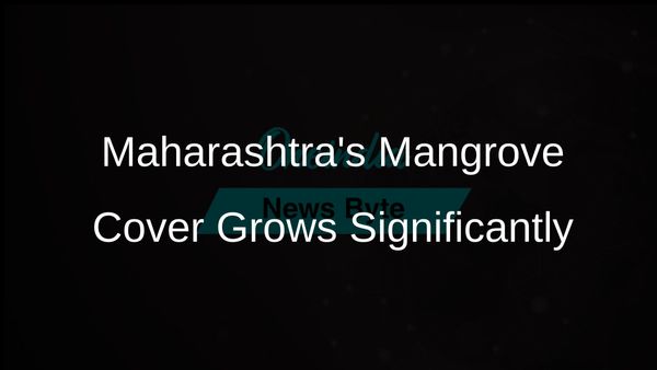 Maharashtra's Mangrove Cover Increases by 1,239 Hectares Over Two Years, Says Ganesh Naik