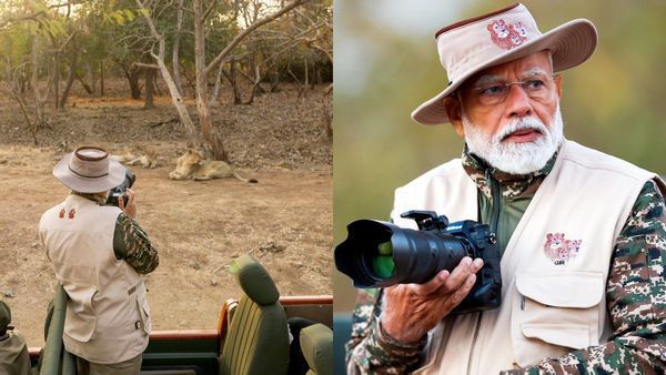 PM Modi Goes On Safari In Gir Lauds Tribals For Preserving Habitat Of Asiatic Lions