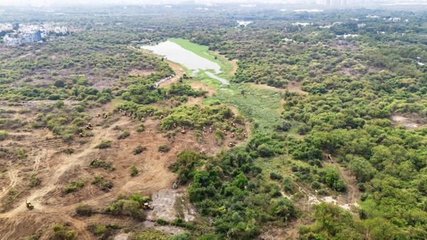 Hyderabad University Students Clash With Police Over Alleged Land Grab, Accuse Govt Of Misleading Them