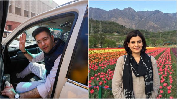 Raghav Chadha Gets Harvard Call, Nidhi Razdan's Parody Account Chips In: 'Ache Se Mail Check Karle Bhai'