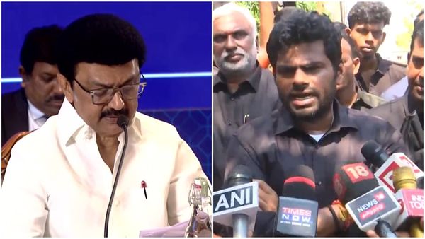 We Will Lose Our Voice: TN CM Stalin Calls For 'Fair' Delimitation; BJP Calls It Political Stunt