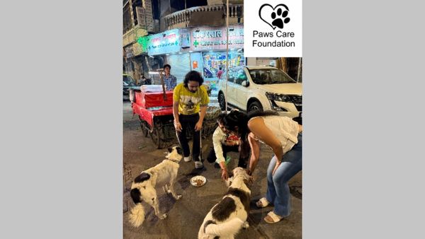 Pawscare Foundation Champions Stray Dog Welfare – Monish Radia, Sherin  Thakrani & Manish Chaurasia Lead the Charge