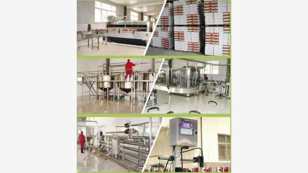 Hebei Tomato Industry Co., Ltd.: A Global Leader in Premium Tomato Paste Production