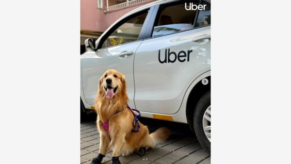 Uber Brings Pet-Friendly Rides To Mumbai: Check The Do’s And Don’ts – Here’s How To Avail The Service