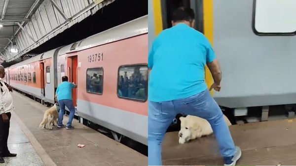 Viral VIDEO: Pet Dog Falls Into Gap At Station as Owner Tries to Board Moving Rajdhani Express