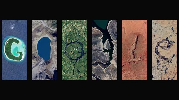 Google Doodle Celebrates Earth Day 2025 with a Focus on Climate Change