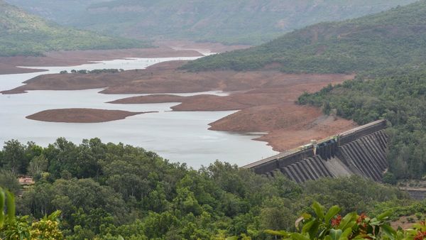 Maharashtra Water Crisis: Dams Water Level Drops to Alarming 41.3%; Pune Region Worst Hit