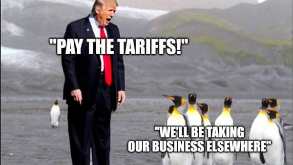 US President Donald Trump Targets Remote Antarctic Island With Tariff—Penguins React, Sort Of