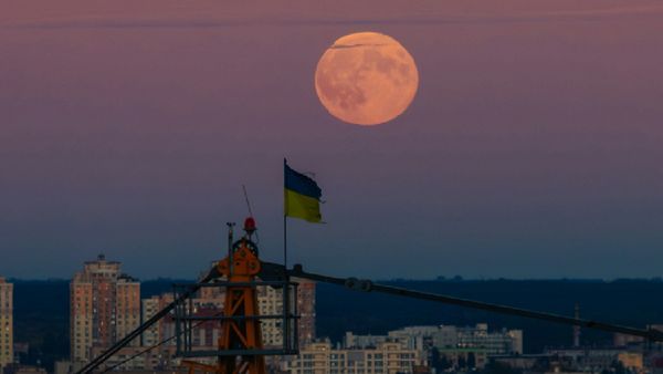 Pink Moon 2025: When And Where To See This Stunning Micromoon In India