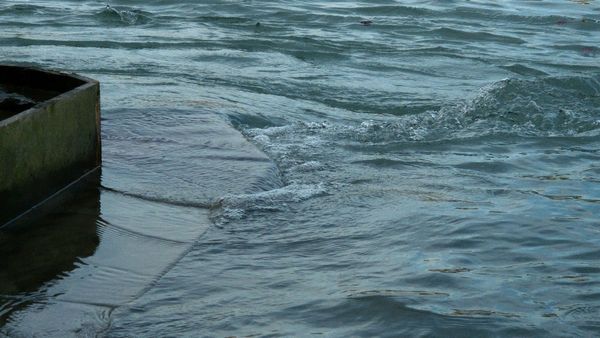 Woman Swept Away In Ganga While Filming Social Media Video In Uttarkashi