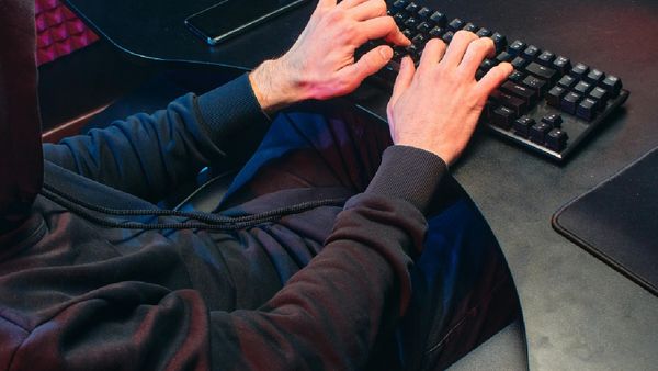 Hyderabad Student Duped Of Rs 2.6 Lakh While Trying To Buy Avocados Online