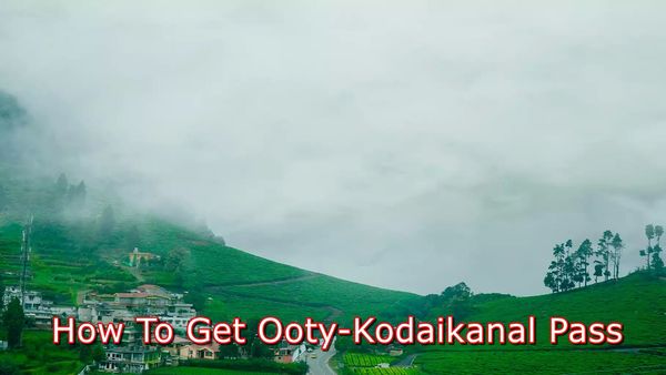 Ooty & Kodaikanal E-Pass: How To Apply For E-Pass Online For Free? Here's Step By Step Guide