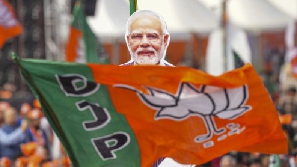 How Much Did BJP Get Funding In 2024? Check How Much Each Parties Received