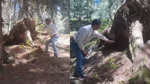 Pakistan’s Dirty Games Exposed: How Terrorists Are Exploiting Pir Panjal’s Rugged Terrain