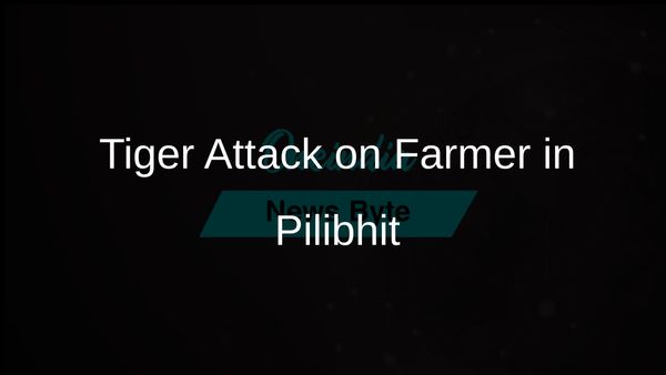Farmer Mauled by Tiger in Pilibhit Village Sparks Outrage Against Forest Department