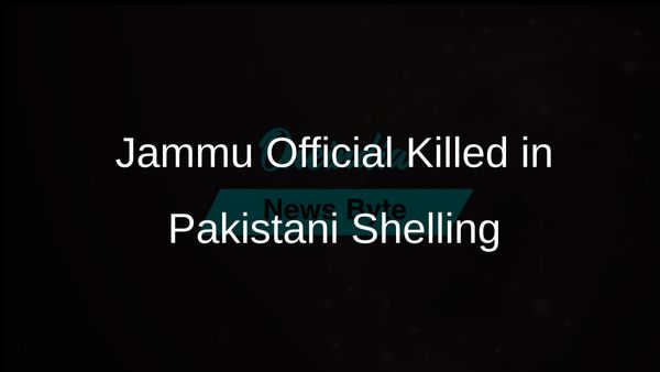 Jammu and Kashmir Government Official Among Seven Killed in Pakistani Shelling Incident