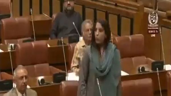 Meet Palwasha Mohammad Zai Khan Who Claimed Pakistan Army Would Lay First Brick of Babri Mosque In Ayodhya