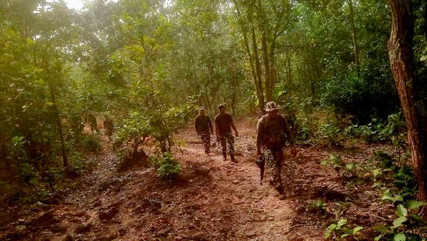 Congress Dithered, BJP Delivered: How India’s Anti-Maoist War Turned the Tide