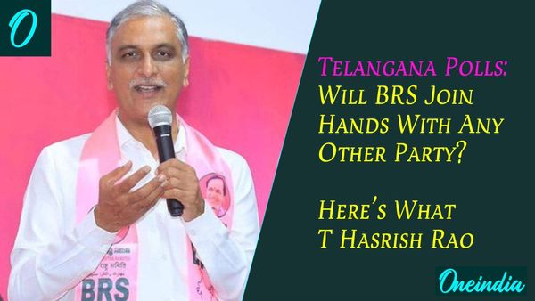 BRS Leader Junks Alliance Talks, Says Party Will Contest Telangana Elections Alone