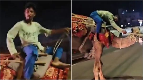 'Booze Is The Secret Of My Energy': Drunk Man Gallops Down Busy Hyderabad Expressway On Camel | WATCH