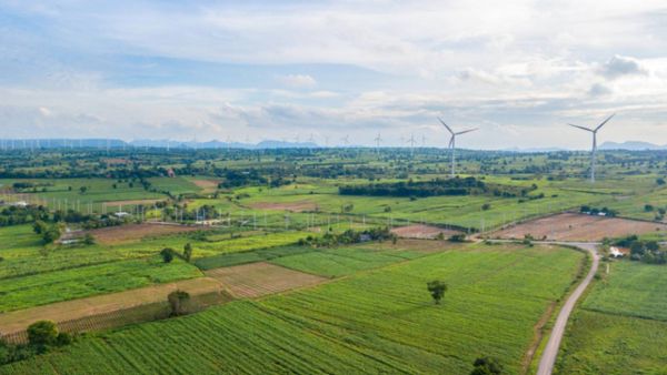 Build Green Legacy with Hosachiguru Managed Farmland 