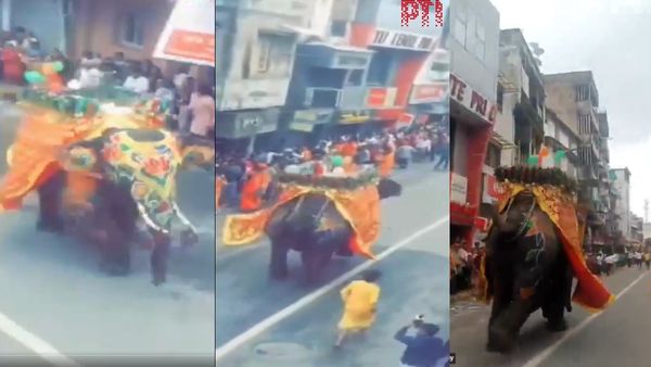 Jagannath Rath Yatra 2025: Elephant Goes Out Of Control In Ahmedabad, Panic Amoung Devotees
