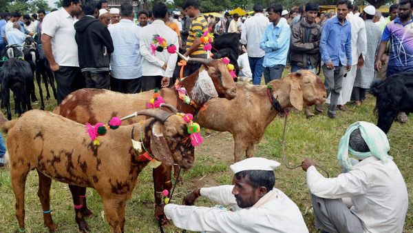 Bakrid 2025: Kerala Government Reschedules Public Holiday To Saturday, June 7