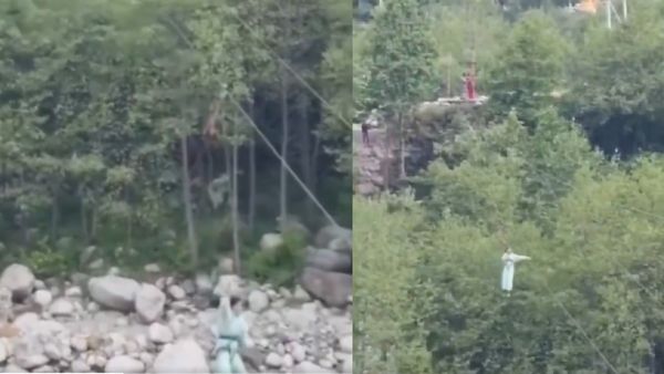 Horror In the Hills: Child Falls From Zipline In Manali, Video Goes Viral