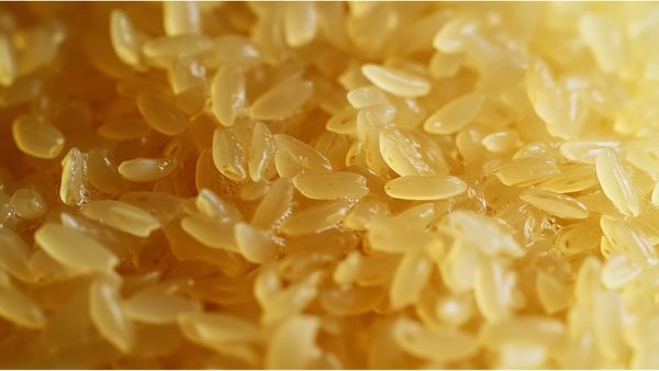 Middle East Tensions Disrupt India’s Basmati Exports—1 Lakh Tonnes In Limbo