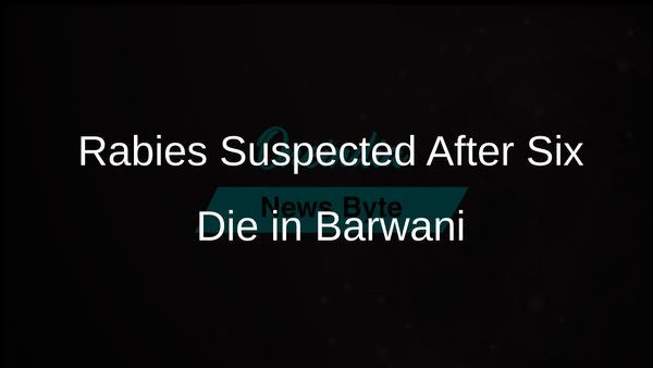 Six Fatalities in Barwani District Linked to Rabies After Unidentified Animal Bites 17 People