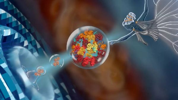 Biological Artificial Intelligence: The PROTEUS System Reshaping Molecular Design And Gene Therapies