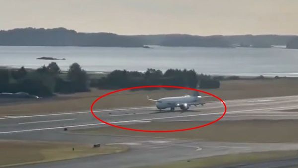 Alaska Airlines Boeing 737 MAX 8 Involved In Deer Collision At Kodiak Airport