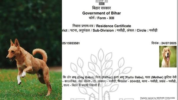 Bihar News: Action Taken in Patna Fake Certificate Case; Verification to Be Tightened with AI Support