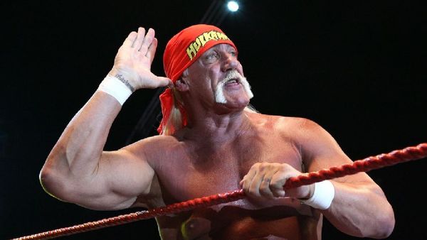 Hulk Hogan: The Muscle, The Moustache And The Madness of 90s Childhood in India