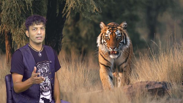 On Global Tiger Day, Royal Ranthambore Roars for Conservation with Abhishek Ray and 