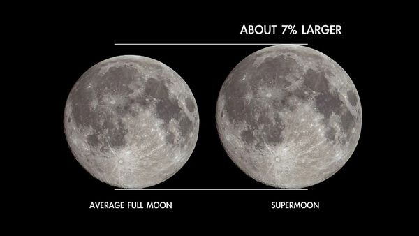 August 9 Full Moon 2025: Sturgeon Moon to Light Up the Sky In Rare Celestial Event