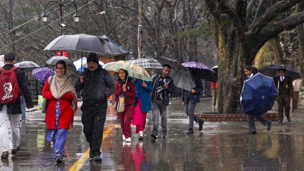 Shimla Rains: Schools, Colleges Shut In 6 Sub-Divisions – Details Here