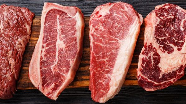 Understanding Alpha-gal Syndrome: Red Meat Allergy Linked To Tick Bites