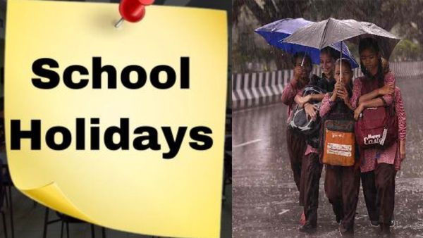 Schools Closed On August 28: Govt Announces School Holiday, Colleges Closer Due to Heavy Rain In This Region