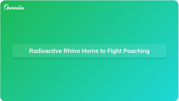 South Africa's Rhisotope Project Uses Radioactive Isotopes in Rhino Horns to Combat Poaching