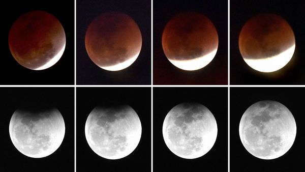 Chandra Grahan 2025 India LIVE Streaming: When And Where Exactly To Watch September 7 Lunar Eclipse
