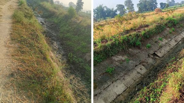 Nurturing Changemakers: Power of Youth in Climate Action