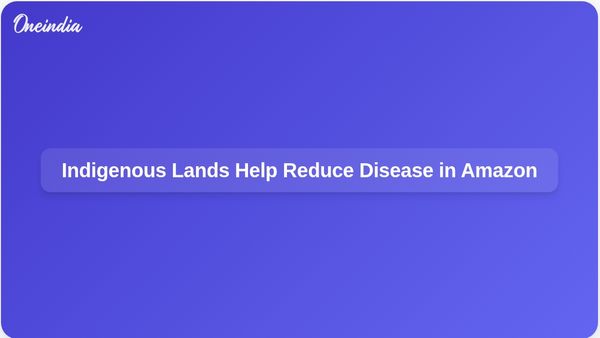 Amazon Rainforest on Indigenous Lands Significantly Lowers Disease Instances, Study Finds