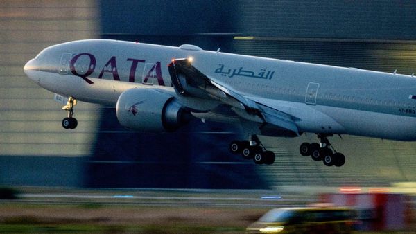 Vegetarian Doctor Dies In Airplane Tragedy After Being Served Meat