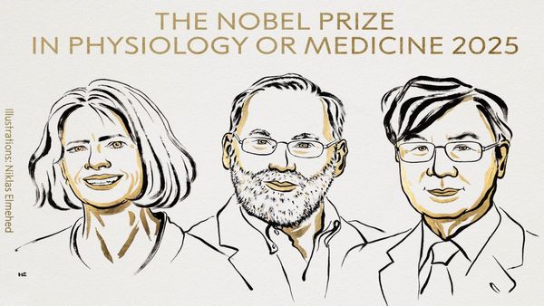 Nobel Prize: Mary E Brunkow, Fred Ramsdell, Shimon Sakaguchi Bag The Honour In Medicine