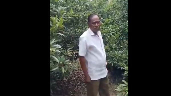 TDP Leader Tatik Narayana Rao Arrested for Alleged Rape Attempt On 13-Year-Old in Andhra Pradesh