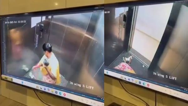 Bengaluru Domestic Worker Caught on CCTV Killing Puppy Inside Apartment Lift
