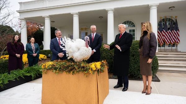 Thanksgiving Week in the US: Why Turkey, What the Festival Means, And The Story Behind The Presidential Pardon